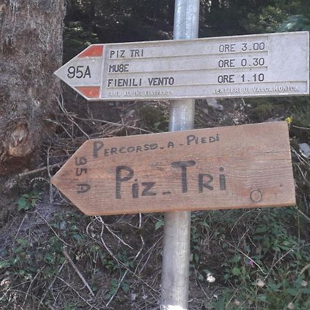 Casa Vacanza Pineta Malonno Luaran gambar