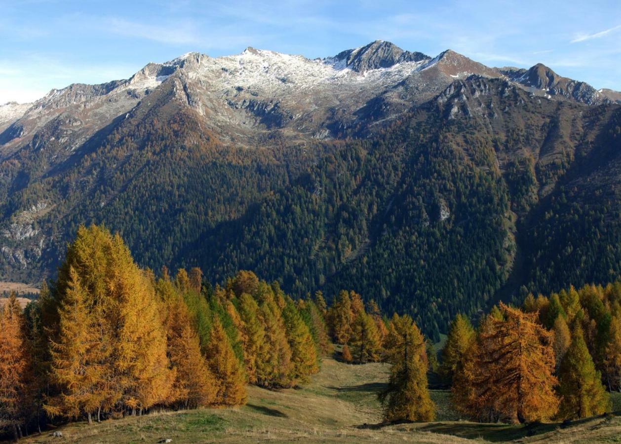 Casa Vacanza Pineta Malonno Luaran gambar