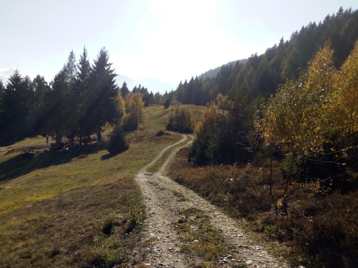 Casa Vacanza Pineta Malonno Luaran gambar